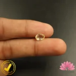 Certified Natural Yellow Sapphire (पुखराज) 1.81 Carat, 2.01 Ratti, Sri Lanka(सीलोन) (Untreated, Unheated) - Image 5