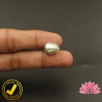 Certified Natural Saltwater Pearl (नेचुरल सच्चा मोती) 10.30 Carat, 11.44 Ratti - Image 5