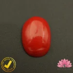 Certified Premium Oval Shape Red Coral 6.69 Carat , 7.43 Ratti ( अंडाकार प्रीमियम लाल मूंगा ) Italian Origin