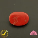 Certified Premium Oval Shape Red Coral 6.69 Carat , 7.43 Ratti ( अंडाकार प्रीमियम लाल मूंगा ) Italian Origin - Image 4