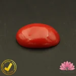 Certified Premium Oval Shape Red Coral 6.69 Carat , 7.43 Ratti ( अंडाकार प्रीमियम लाल मूंगा ) Italian Origin - Image 5