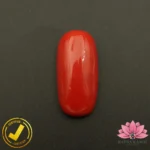 Certified Premium Oval Shape Red Coral 10.74 Carat , 11.93 Ratti ( अंडाकार प्रीमियम लाल मूंगा ) Italian Origin
