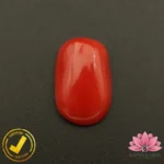 Certified Premium Oval Shape Red Coral 6.73 Carat , 7.47 Ratti ( अंडाकार प्रीमियम लाल मूंगा ) Italian Origin