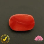 Certified Premium Oval Shape Red Coral 6.73 Carat , 7.47 Ratti ( अंडाकार प्रीमियम लाल मूंगा ) Italian Origin - Image 4