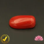 Certified Premium Oval Shape Red Coral 6.73 Carat , 7.47 Ratti ( अंडाकार प्रीमियम लाल मूंगा ) Italian Origin - Image 5