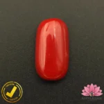 Certified Premium Oval Shape Red Coral 7.01 Carat , 7.78 Ratti ( अंडाकार प्रीमियम लाल मूंगा ) Italian Origin