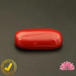 Certified Premium Oval Shape Red Coral 7.01 Carat , 7.78 Ratti ( अंडाकार प्रीमियम लाल मूंगा ) Italian Origin - Image 5