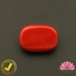 Certified Premium Oval Shape Red Coral 12.48 Carat , 13.86 Ratti ( अंडाकार प्रीमियम लाल मूंगा ) Italian Origin - Image 4