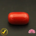 Certified Premium Oval Shape Red Coral 12.48 Carat , 13.86 Ratti ( अंडाकार प्रीमियम लाल मूंगा ) Italian Origin - Image 5