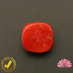 Certified Premium Oval Shape Red Coral 8.26 Carat, 9.18 Ratti ( अंडाकार प्रीमियम लाल मूंगा ) Italian Origin - Image 4