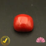 Certified Premium Oval Shape Red Coral 8.26 Carat, 9.18 Ratti ( अंडाकार प्रीमियम लाल मूंगा ) Italian Origin - Image 5