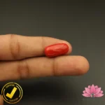 Certified Premium Oval Shape Red Coral 10.74 Carat , 11.93 Ratti ( अंडाकार प्रीमियम लाल मूंगा ) Italian Origin - Image 6
