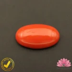 Certified Japanese Premium Oval Shape Orange Coral 14.98 Carat , 16.64 Ratti (जापानी अंडाकार प्रीमियम सिन्दूरी मूंगा)