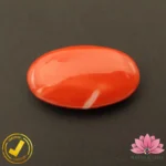 Certified Japanese Premium Oval Shape Orange Coral 14.98 Carat , 16.64 Ratti (जापानी अंडाकार प्रीमियम सिन्दूरी मूंगा) - Image 4