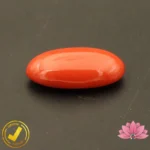 Certified Japanese Premium Oval Shape Orange Coral 14.98 Carat , 16.64 Ratti (जापानी अंडाकार प्रीमियम सिन्दूरी मूंगा) - Image 5