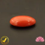 Certified Japanese Premium Oval Shape Orange Coral 10.84 Carat , 12.04 Ratti (जापानी अंडाकार प्रीमियम सिन्दूरी मूंगा) - Image 5