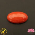 Certified Japanese Premium Oval Shape Orange Coral 11.75 Carat , 13.05 Ratti (जापानी अंडाकार प्रीमियम सिन्दूरी मूंगा) - Image 2