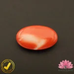Certified Japanese Premium Oval Shape Orange Coral 11.75 Carat , 13.05 Ratti (जापानी अंडाकार प्रीमियम सिन्दूरी मूंगा) - Image 4