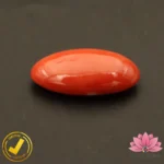 Certified Japanese Premium Oval Shape Orange Coral 11.75 Carat , 13.05 Ratti (जापानी अंडाकार प्रीमियम सिन्दूरी मूंगा) - Image 5