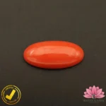 Certified Japanese Premium Oval Shape Orange Coral 7.89 Carat , 8.76 Ratti (जापानी अंडाकार प्रीमियम सिन्दूरी मूंगा)