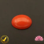 Certified Japanese Premium Oval Shape Orange Coral 7.09 Carat , 7.87 Ratti (जापानी अंडाकार प्रीमियम सिन्दूरी मूंगा)