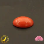 Certified Japanese Premium Oval Shape Orange Coral 7.09 Carat , 7.87 Ratti (जापानी अंडाकार प्रीमियम सिन्दूरी मूंगा) - Image 5