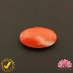 Certified Japanese Premium Oval Shape Orange Coral 9.56 Carat , 10.62 Ratti (जापानी अंडाकार प्रीमियम सिन्दूरी मूंगा) - Image 4