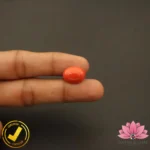 Certified Japanese Premium Oval Shape Orange Coral 7.09 Carat , 7.87 Ratti (जापानी अंडाकार प्रीमियम सिन्दूरी मूंगा) - Image 6